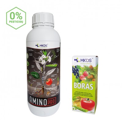 Žydi, bet nemezga – rinkinys